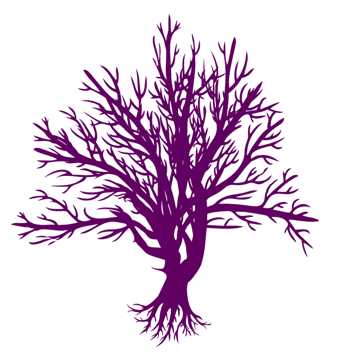 logo staredusze_drzewo